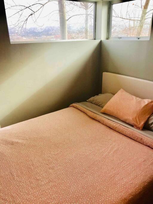 Dreamloft And Patio On The Hill Cedar City